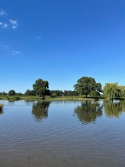 Obraz premium Countryside lake with tree reflections under clear blue sky 