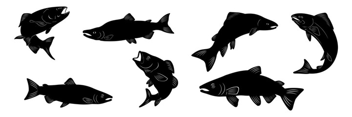 salmon silhouette vector