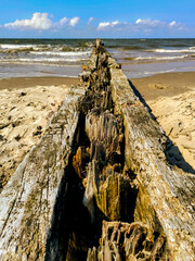 Wellenbrecher aus Holz am Sandstrand 