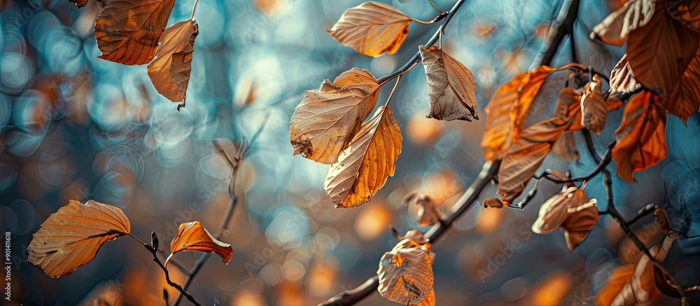 Poster autumn themed background with a close up of dried leaves on a tree branch providing copy space image