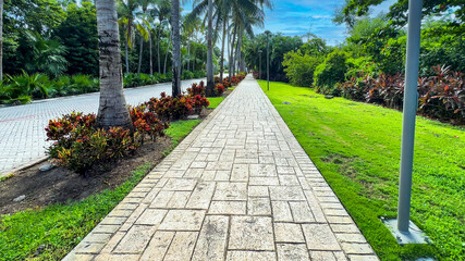Avenue full of tropical plants and Cordyline fruticosa Rubra, surrounded by a natural and tropical environment of Mexico, ideal place to relax and live a unique lifestyle.