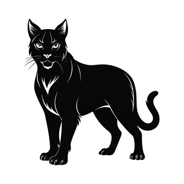 recommend clip art: bobcat animals and Vector file