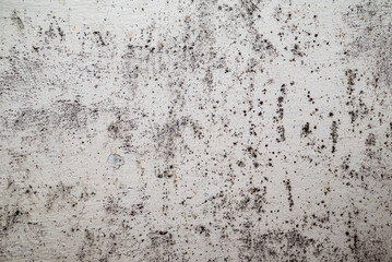 Big wet black mold and cracks a on the wall