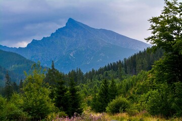 Obraz premium Kriváň Hill in the High Tatras in Slovakia