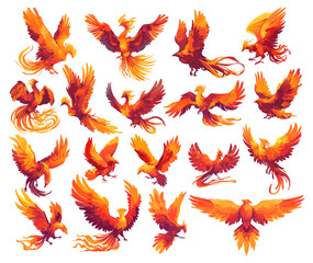 phoenix set cartoon. bird fairy tale fantasy fire hot red. vector illustration