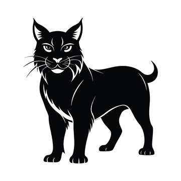 recommend clip art: bobcat animals and Vector file