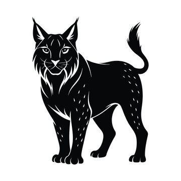 recommend clip art: bobcat animals and Vector file