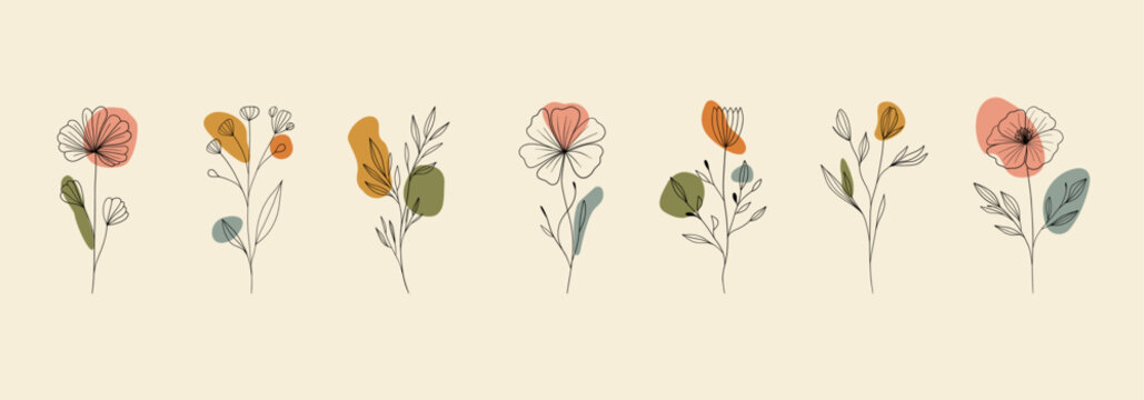 Minimalist linear flowers with abstract shapes. Doodle floral elements, nature leaves branches, botanical print art. Vector set