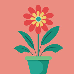 Flower In a Pot