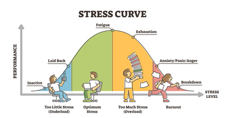 Stress curve educational diagram with performance level graph outline concept, transparent background. Labeled work productivity and efficiency optimum reach illustration.