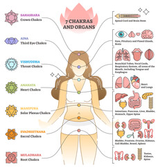 7 chakras and organs explanation as holistic healing basics outline concept, transparent background. Educational labeled esoteric energy locations and points on body illustration.