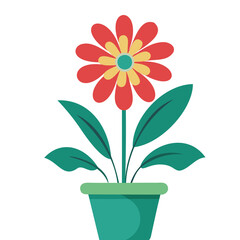 Flower In a Pot