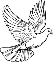 Illustration of a flying dove. Vector.