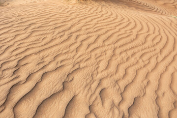 Sunset in the desert dunes in Dubai, UAE