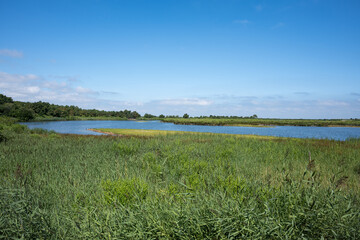 Le Teich (bassin d'Arcachon, France). Plan d'eau naturel dans la réserve ornithologique
