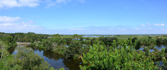 Le Teich (bassin d'Arcachon, France). Vue panoramique sur la réserve ornithologique