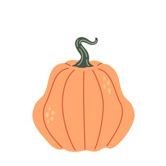 Pumpkin isolated on white background. Autumn vegetable.  Harvest.