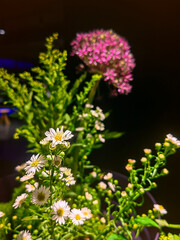 Creative layout made of flowers and leaves. Flat lay. Nature concept. Floral Greeting card.