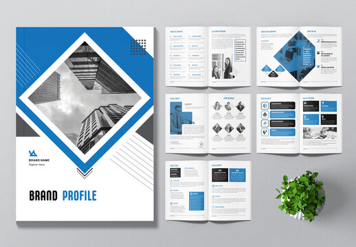Brand Profile With Blue Accent