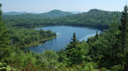 Naklejka premium Serene Mountain Lake Surrounded by Lush Forest