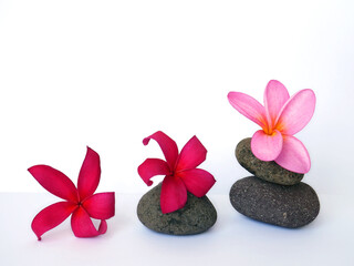 Template for spa salon, cosmetic or massage advertising