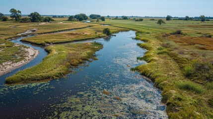 Wetland Restoration: The process of rehabilitating and restoring degraded wetland areas to enhance their ecological functions and biodiversity.
