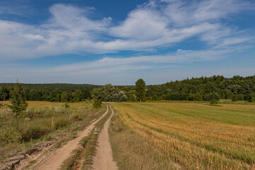 the dirt road descends from the hill along the field and enters the forest