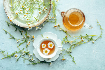 Chamomile flower tea. A tea cup and a tea pot with fresh medicinal flowers, natural organic remedy,...