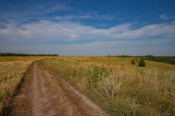 road among yellow grass, blue sky with white clouds