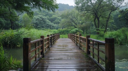 Fototapeta premium Wooden Bridge in Lush Forest Landscape