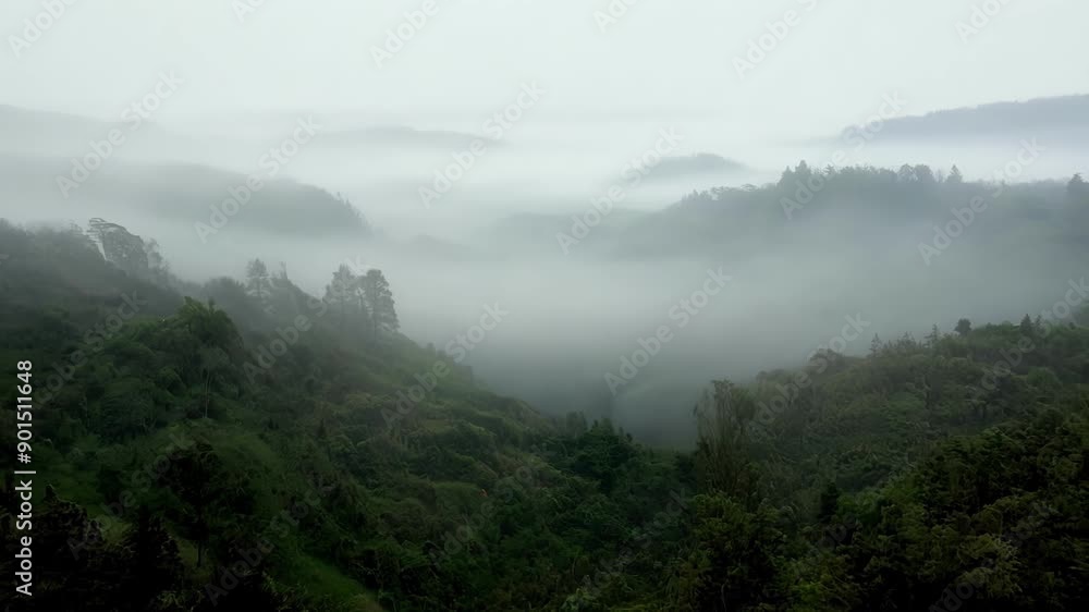 Poster dramatic view of foggy hillsides adding texture and depth to the natural scenery.