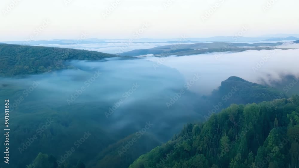 Canvas Prints Aerial view of fogcovered hills creating a peaceful and tranquil atmosphere.