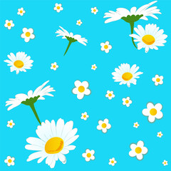 Obraz premium Vector seamless floral pattern with realistic and simple stylized daisies on a blue background for wallpaper, textiles, cards, and dishes.