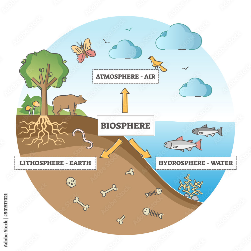 Poster biosphere division with labeled ecosystem explanation scheme outline concept, transparent background