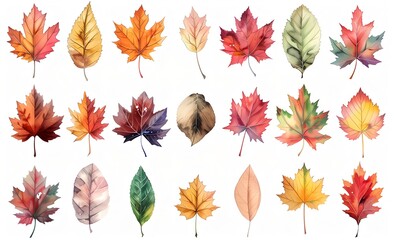 カラフルな秋の落ち葉