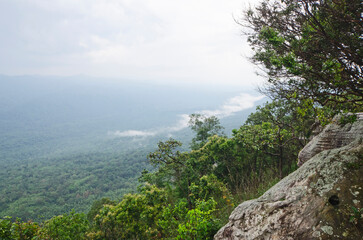 The viewpoint on the cliff overlooks the green forest and misty valley under a cloud-covered sky