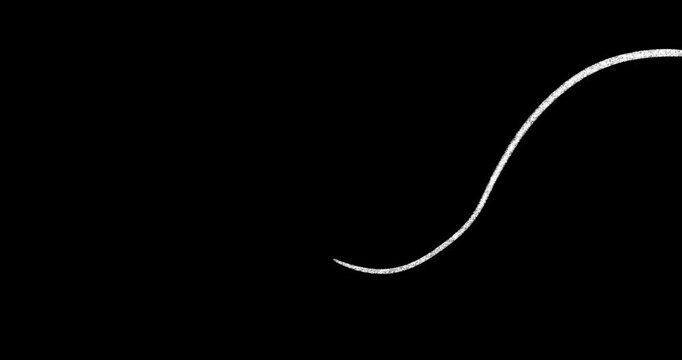 Hand Draw Curved Line Scribble Animation. White on a transparent background. 4K. Alpha channel. Pencil.