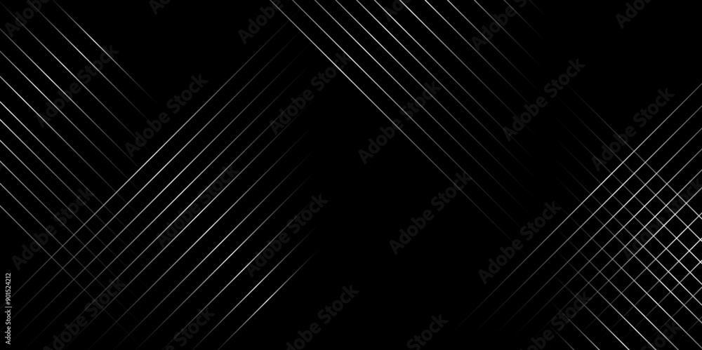 Poster fragment of bird's feather,vector black abstract background lines tech geometric modern dynamic shap