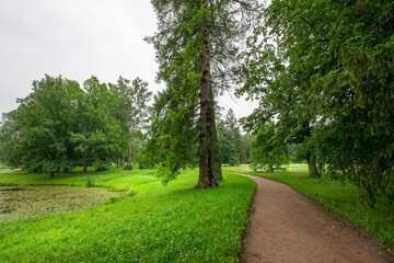 A tranquil pathway meanders through vibrant greenery, bordered by lush trees beside a peaceful waterway, inviting exploration on a cloudy, serene day.