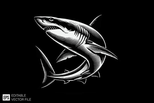Shark black and white vector design