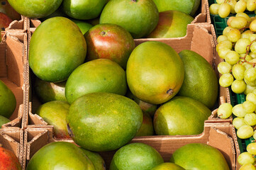 Green ripe mango in a box at the market
