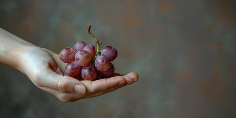 Hands hold black grapes. Concept banner template for advertising wineries, wines, brands. Close up and copyspace