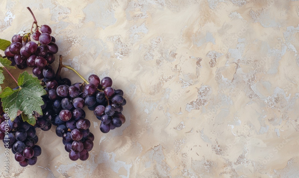 Wall mural Grapes on a pastel ivory background