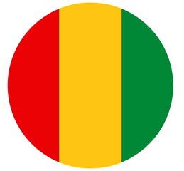 Guinea flag button