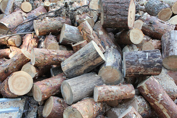 a oile of logs caotically srored 