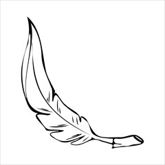 Tropical leaves one line drawing. Continuous line drawing of tropical palm leaf. Single one line exotic flowers and palm leaf .Leaves outline sketch. Jungle plant leaf line art..