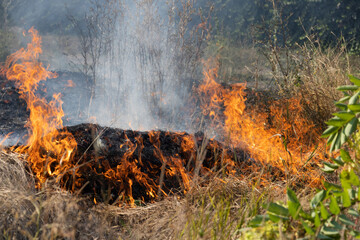 Forest and steppe fires dry completely destroy the fields and steppes during a severe drought....
