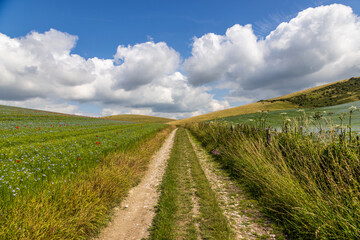 An idyllic Sussex landscape on a sunny summer's day