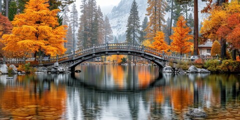 Autumnal Bridge Reflection