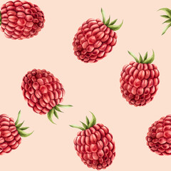 Seamless pattern with sweet ripe raspberry. Hand painting red macro watercolor illustration isolated on background. For designers, menu, shop, decorat